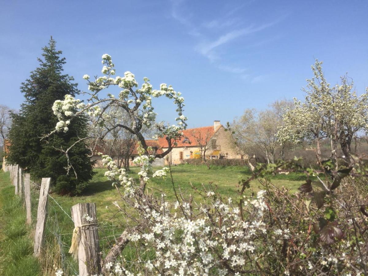 Chambres D'Hotes Domaine Les Grands Perons Hérisson Kültér fotó